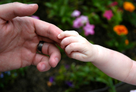 adult and baby join hands