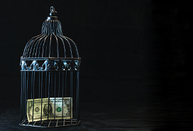 a dollar bill inside a black wire birdcage