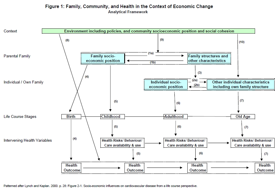 Figure 1: Family, Community, and Health in the Context of Economic Change Analytical Framework diagram